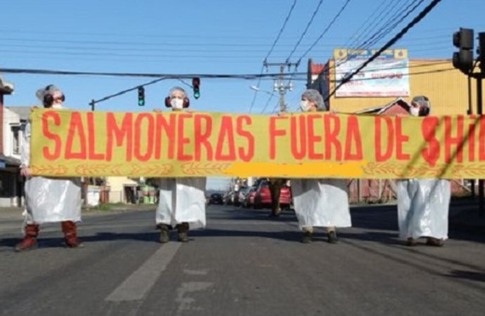 La fuga de 700.000 salmones en Chile podría producir un desastre ambiental