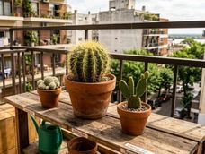Colocar un cactus en el balcón representa una forma sencilla de reforzar simbólicamente lo que significa un buen Feng Shui.