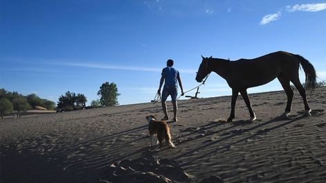 La sequía es uno de los problemas más graves de Mendoza. Foto : José Gutierrez / Los Andes