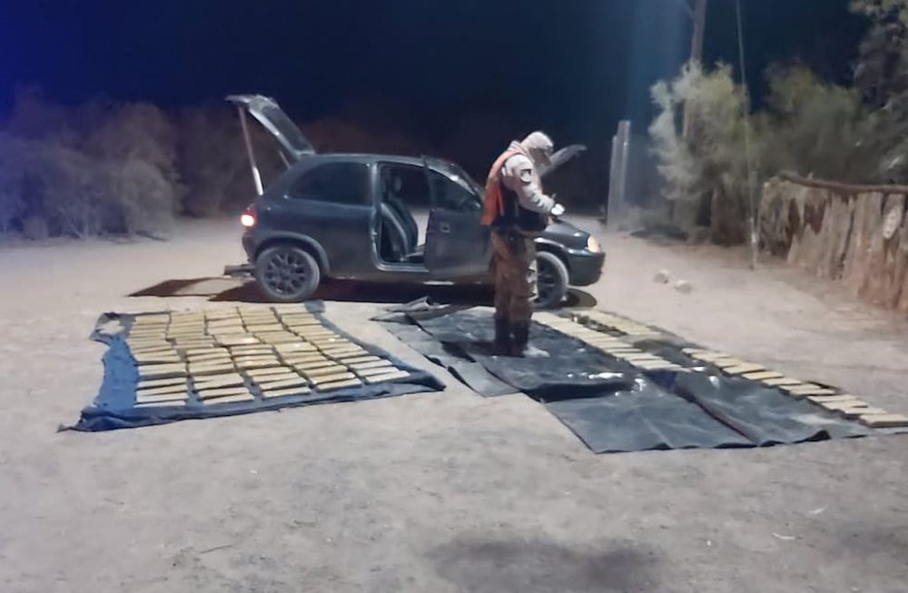La marihuana decomisada en Lavalle. / Gentileza Ministerio de Seguridad