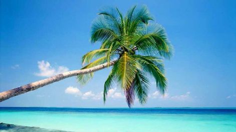 Los pasajeros pueden elegir entre distintos planes según la comodidad y servicios que necesiten.