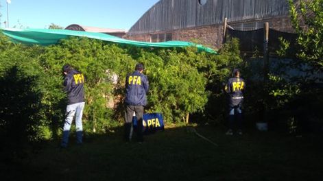 Los Andes | Un decomiso de la policía federal realizado por la policía federal en el sur provincial.