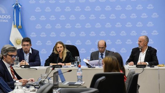 En la Comisión de Previsión y Seguridad Social de Diputados se firmaron tres dictámenes (Foto: HCDN)