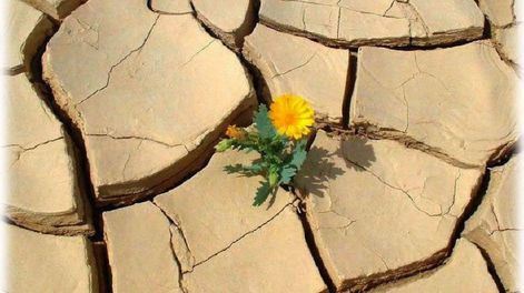 Características de la resiliencia