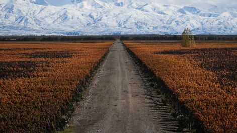 Los Andes | De acuerdo al pronóstico trimestral del Servicio Meteorológico Nacional, se espera un otoño normal en lo que hace a temperaturas y a precipitaciones. El final del verano fue más lluvioso y frío de lo normal. Foto: Claudio Gutiérrez / Los Andes.