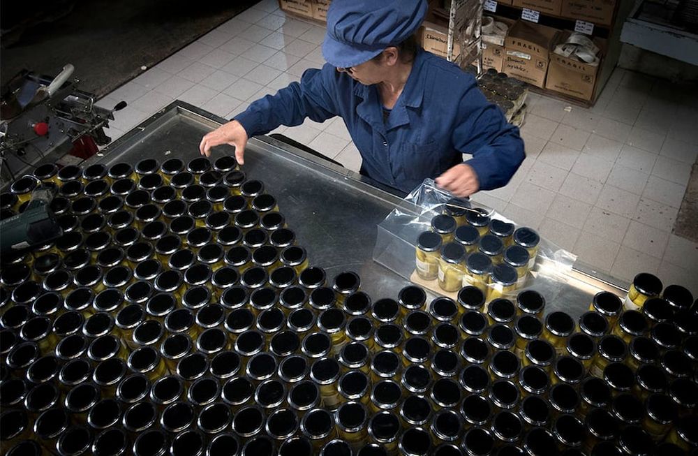 Más de la mitad de las empresas mendocinas otorga diversos beneficios a sus empleados para retenerlos y compensar la pérdida de poder adquisitivo de los salarios. Foto: Orlando Pelichotti /  Los Andes