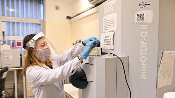 Más allá de los códigos: Mujeres en tecnología que cierran la brecha y abren caminos