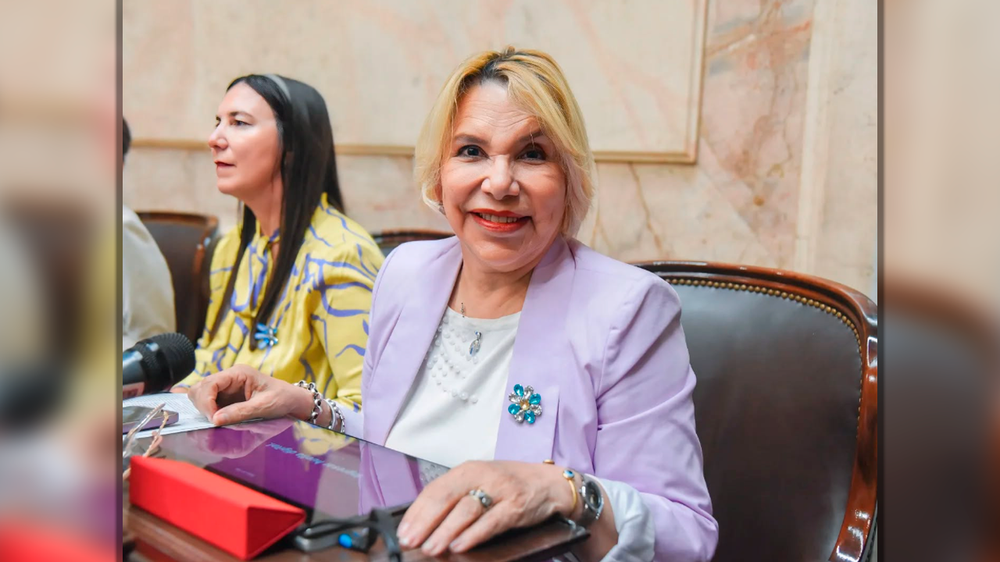 Marilú Quiroz, diputada del PRO por Chaco.