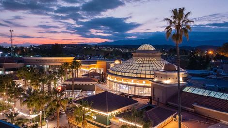 Llegan nuevas marcas a Palmares