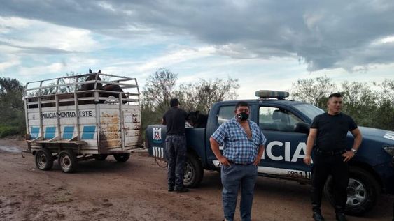 Crímen del anciano en La Paz. Policías con perros adiestrados y vecinos llevan más de un mes rastrillando campos para hallar al anciano