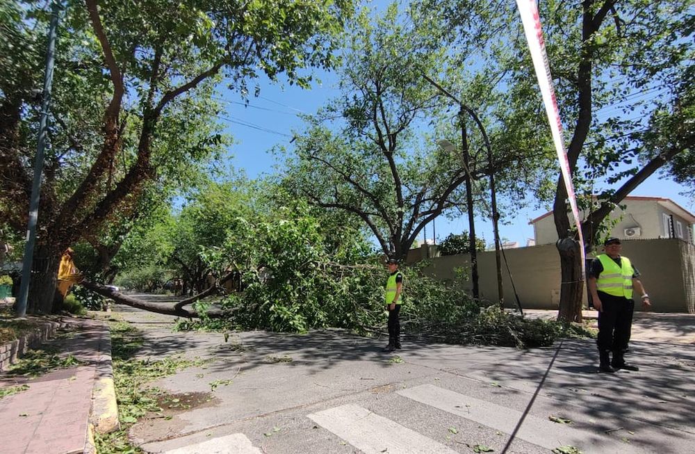 Zonda: novedades, cortes de tránsito y suspensiones
