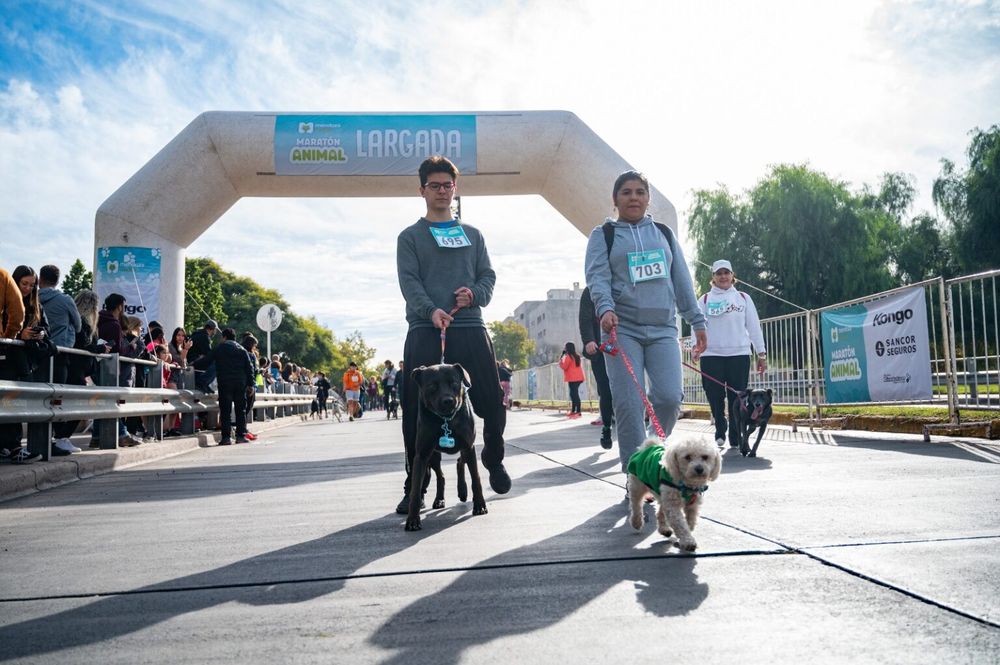 Maraton-Animal-3-1536x1021.jpeg