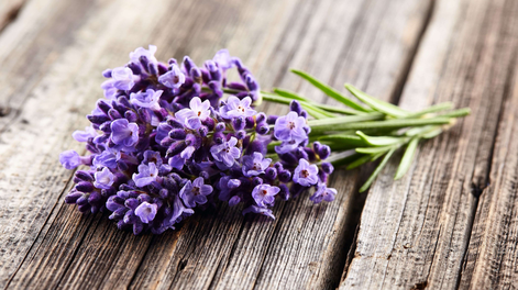 Descubrí por qué el espacio que ocupa la lavanda en tu casa es tan importante.