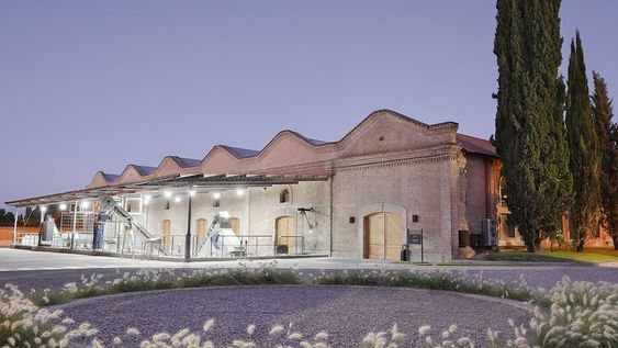 Chandon y Terrazas de Los Andes presentan sus vinos en la feria de Guarda14