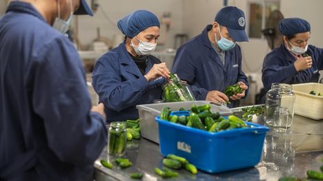 Los Andes | La sustentabilidad se ha convertido en uno de los pilares del crecimiento de Complacer. - Gentileza
