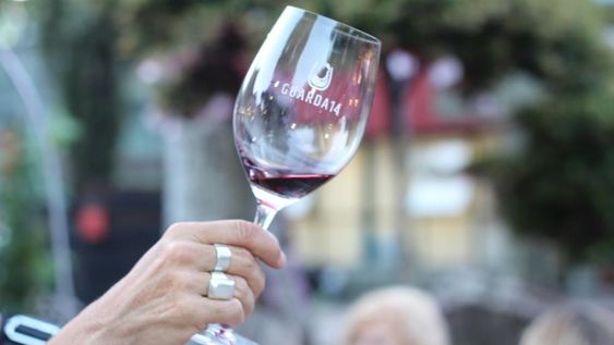 Ya podés comprar tus entradas para la gran feria de vinos premiados de Guarda14