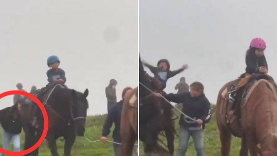 Detenida tras tirarle la cola a un caballo durante un recorrido infantil.