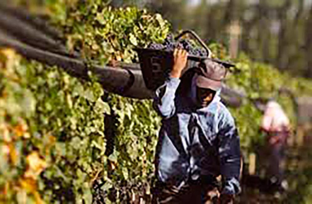 El reporte del Instituto Nacional de Vitivinicultura muestra que, en el acumulado entre enero y marzo de 2022 versus el mismo período de 2021 las ventas al exterior cayeron 16,3% en volumen.