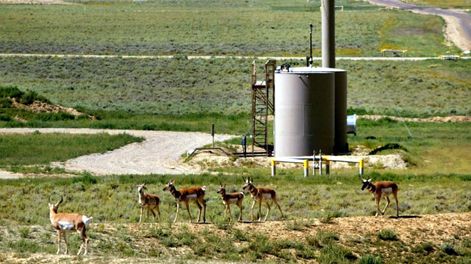 Mendoza será la sede de I Reunión Trinacional de Ecología el 5 y el 10 de octubre.&nbsp;