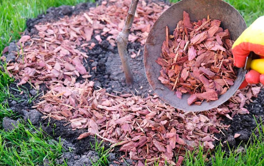 Esta mezcla protege el suelo, reduce la aparición de malezas y favorece un crecimiento más equilibrado tanto en árboles jóvenes como en ejemplares ya establecidos.