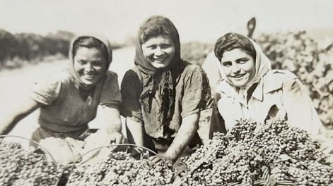 Historia, Patrimonio y Cultura / Los Andes en Vendimia