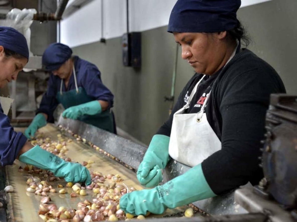 ARCA lanzó el Padrón de Trabajadores Independientes con Colaboradores, que no genera relación de dependencia. Foto: Los Andes