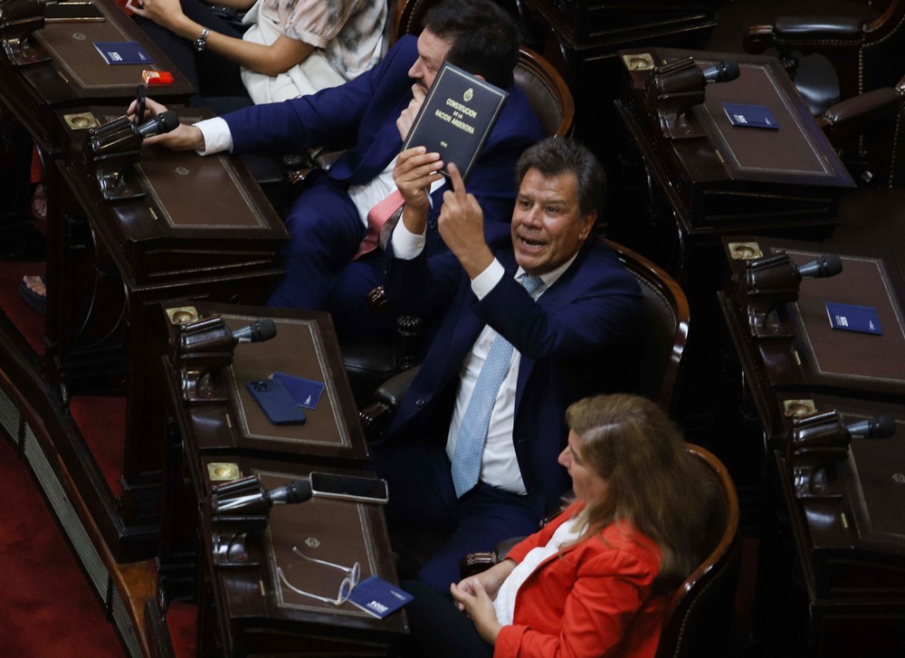 El diputado Facundo Manes y su entredicho con el presidente Javier Milei, durante el discurso de inauguración de las sesiones ordinarias 2025 |FOTO:MARIANO SANCHEZ/NA.