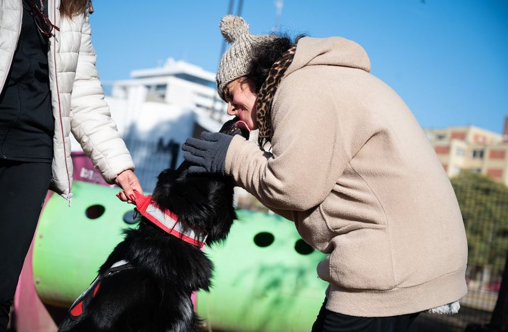 La Ciudad celebró una actividad de sociabilidad entre animales y personas con discapacidad
