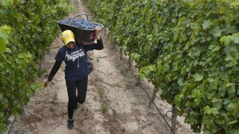 Precios de uvas nuevamente amenazados - Por Jorge A. Day