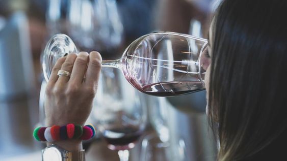 Si bien se trata de la cepa más tradicional de la vitivinicultura argentina, la oferta de malbec se renueva con versiones e interpretaciones. Foto: Ignacio Blanco / Los Andes