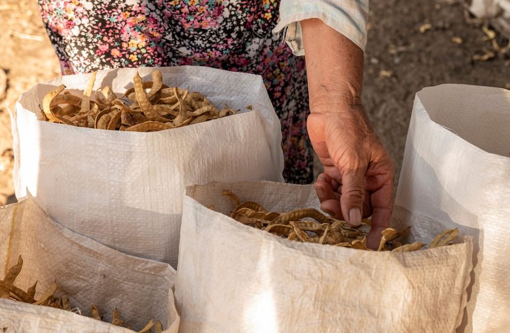 “Nuestro propósito es mejorar el mundo a través de una alimentación que nutra a las personas, Nito Anello, cofundador de la empresa de alimentos Zafrán.