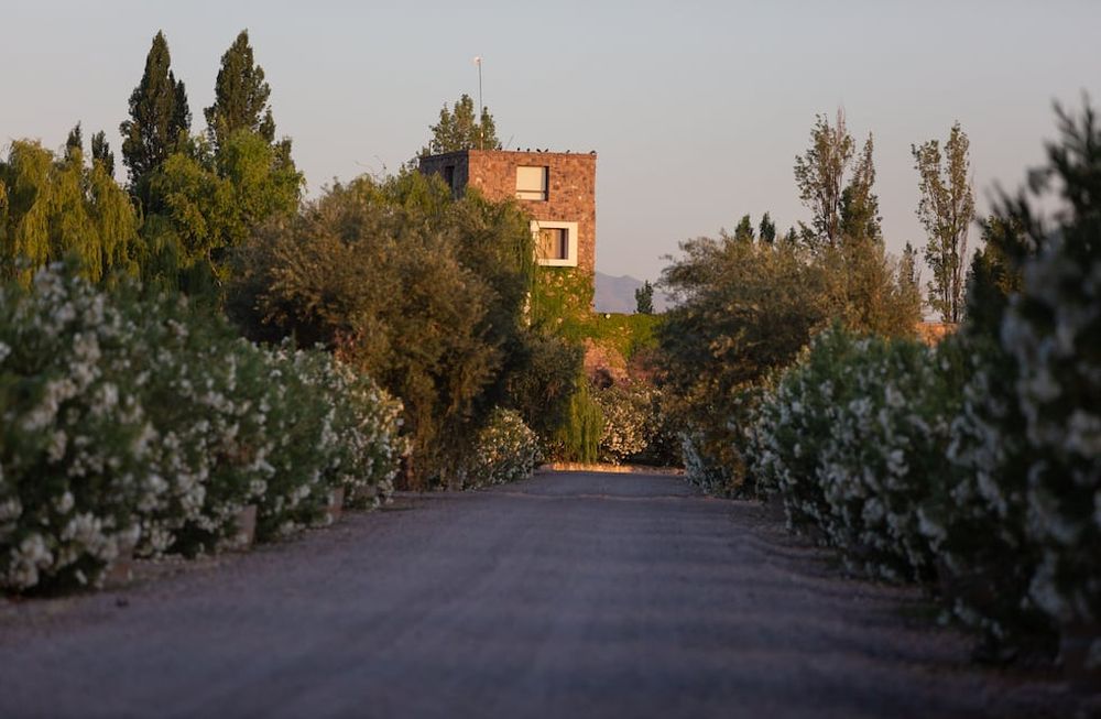 Bodega Renacer: Punto Final Reserva “Cortes” en marcha