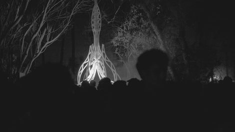 Los Andes | Manglar
