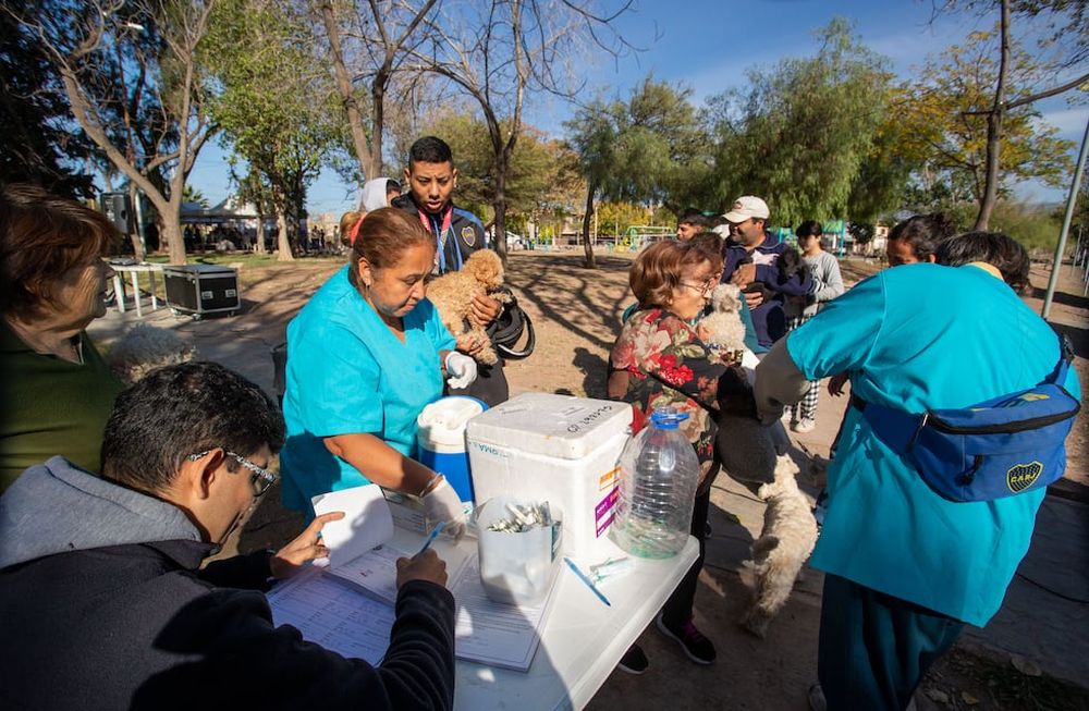 La Ciudad acerca algunos consejos para el cuidado de los animales