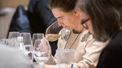 Invitan a las bodegas mendocinas a concurso de vinos en Canadá.