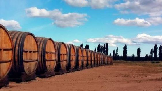 Civit 757 Gran Vino: el blend recomendado del fin de semana