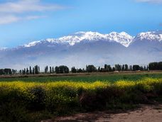 Valle de Uco: Sembrando el Futuro
