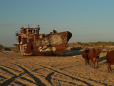 El Mar de Aral se secó. En su lugar, dejó un desierto.&nbsp;