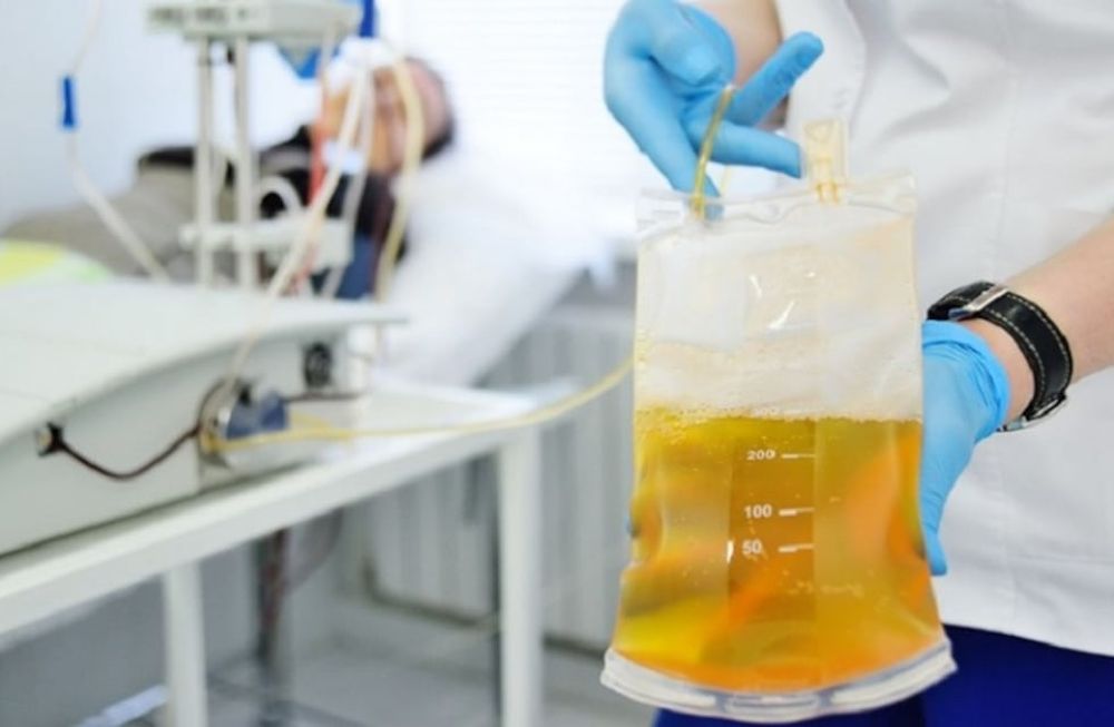 COVID-19: paso a paso, el proyecto local que prevé usar plasma de pacientes recuperados