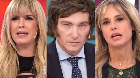 Milei se metió en el escándalo Canosa-Fabbiani y apuntó contra Suar y el Grupo Clarín