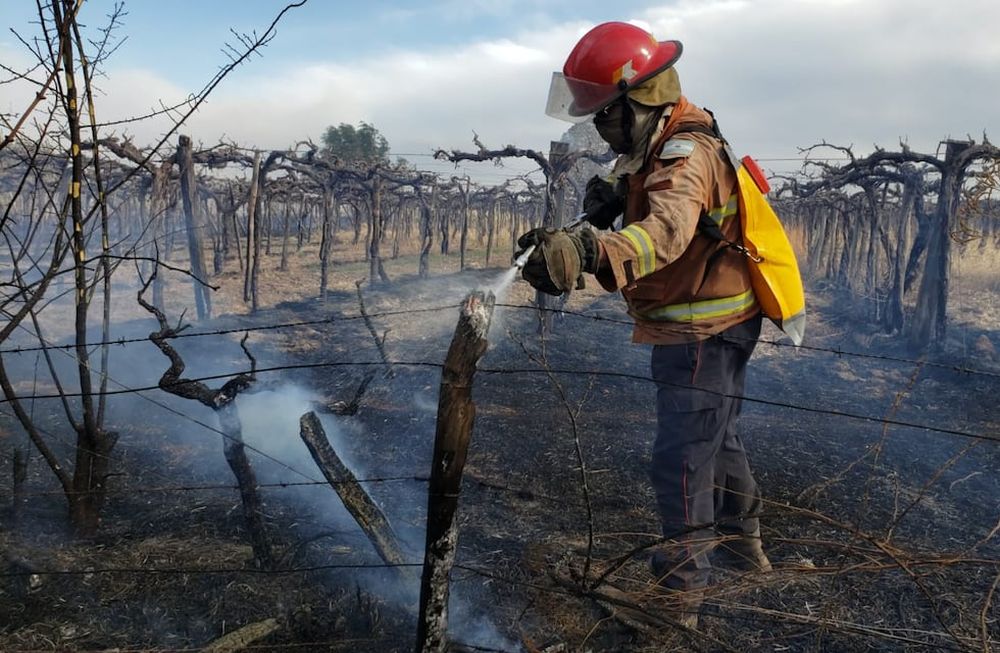 El viento Zonda provocó un incendio en viñedos de Mendoza. - Claudio Gutiérrez / Los Andes