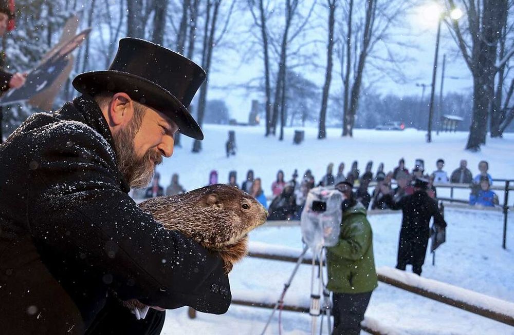Phil la “marmota oficial” del pueblo que anticipa, en el hemisferio Norte, cuánto se extenderá el invierno.