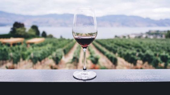 Los vinos de otras regiones vinícolas de Italia