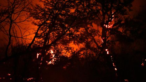 Declararon la Emergencia Ígnea ante los incendios en la Patagonia&nbsp;