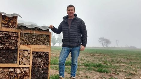 Arman “casas” para insectos polinizadores y benéficos para los cultivos agrícolas
