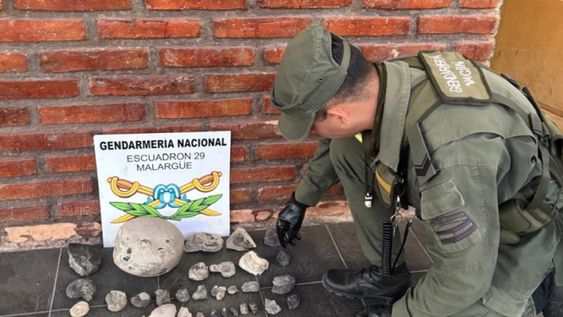 Llevaba 33 fósiles en el baúl de su auto y fue detenido por Gendarmería en un control en Ruta 40