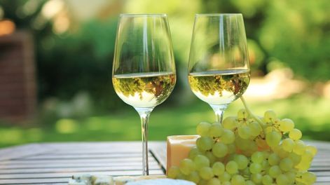 Los Andes | La variedad torrontés es la segunda con mayor superficie entre las blancas y Mendoza es la principal productora, pero su origen no se ha podido determinar con precisión.