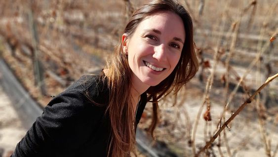 La investigadora mendocina, &nbsp;“Si una planta madre de Malbec fue cultivada bajo determinadas condiciones, sus descendientes pueden conservar las marcas epigenéticas”. &nbsp;