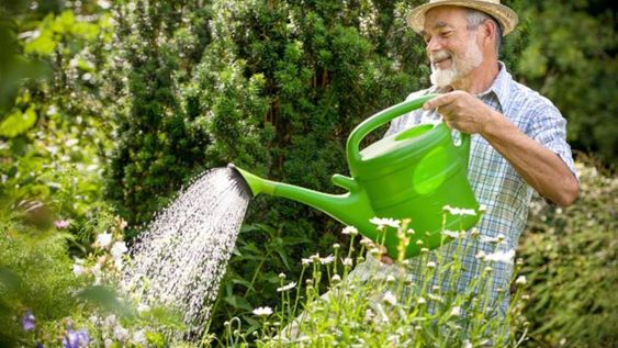 Un jardín es un refugio para huir del ajetreo del mundo. Sin embargo, poco sabemos sobre los verdaderos beneficios de convivir en armonía con las plantas.