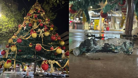 Incendiaron el árbol navideño de la peatonal de la ciudad de Mendoza.